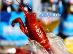 -Boxing Cat Brewery拳击猫精酿啤酒馆(永福店)