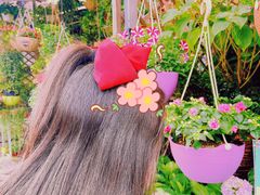 -桂林市花鸟市场