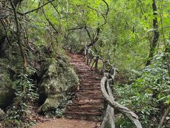 -普者黑风景区-青龙山