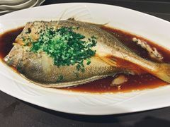 -西郊5号·Maggie 5