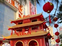 -越秀西湖花市(广州城市广场花卉店)