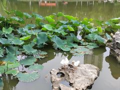 -南翠屏公园