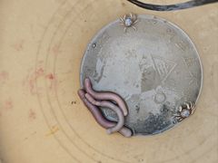 -红树林天天赶海