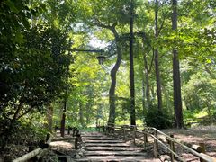 -三鹰之森吉卜力美术馆