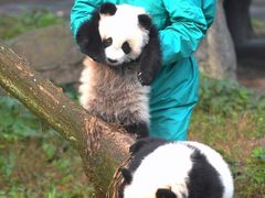 -贵州森林野生动物园