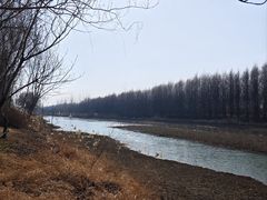 -泗洪洪泽湖湿地景区