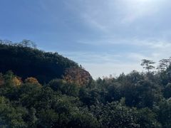 -武夷山风景名胜区-玉女峰
