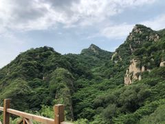 -大岭沟猕猴桃谷风景区