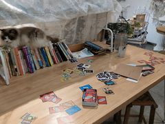 -共舞时光猫咖·狗咖(新街口店)
