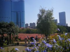 -艾溪湖湿地公园