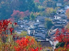 -塔川景区