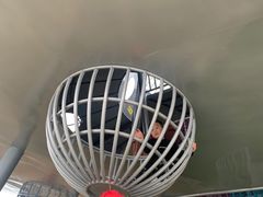 -空港花田景区