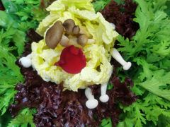 蔬菜拼盘-谭鸭血老火锅(七宝万科广场店)