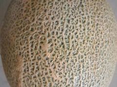 -五里店果蔬批发市场