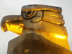 -大金鹰园