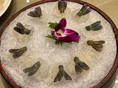 虾生-沙龙酒家