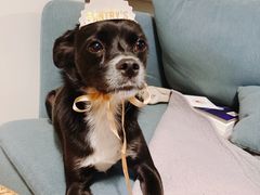 -派悦坊·甜品·蛋糕(日坛店)