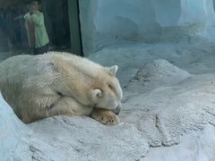 -珠海长隆海洋王国