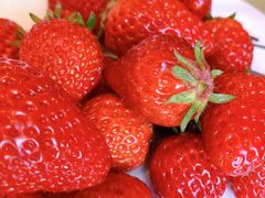 -悦盐·自贡盐帮菜(增光路店)