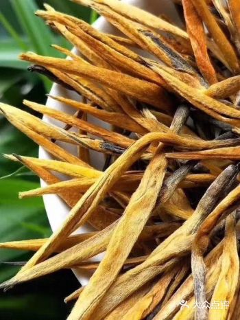 叶底粗壮肥大，根劲十足，滋味浓厚鲜爽