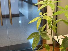 -MusicLife音乐(浦东校区)