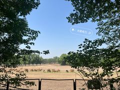 -北京麋鹿生态实验中心