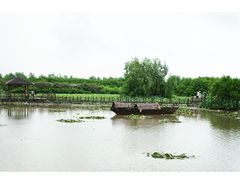 iphone_upload_pic-大湾区中央湿地公园