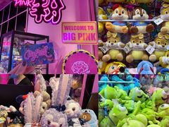 -BIG PINK大粉娃娃机主题馆(圆融星座店)