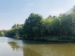 -新江湾城公园