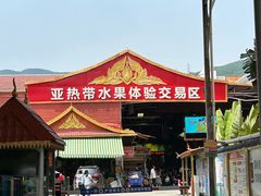 -曼阁市场水果批发市场