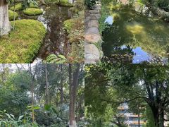 -成都市活水公园