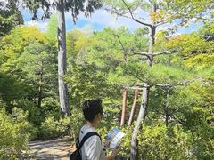 -常寂光寺