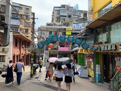 -猫咪博物馆(顶澳仔猫街店)