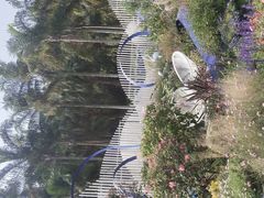 -莲花山公园