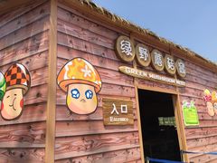 -苏州乐园森林水世界