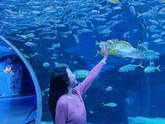 -海合安成都极地海洋公园