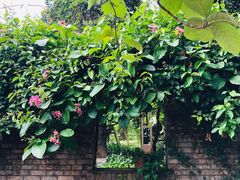 -中国科学院西双版纳热带植物园