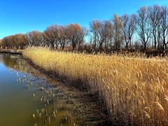 -野鸭湖国家湿地公园