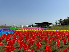 -洪湖湿地生态园