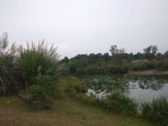 -白鹭湾湿地公园