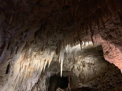 -怀托摩萤火虫洞