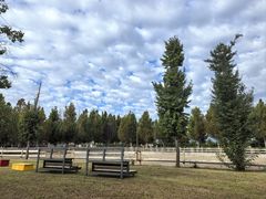 -北京群众马术培训基地