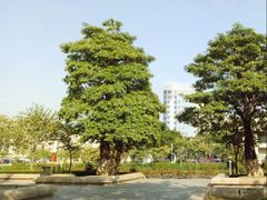 -花都广场