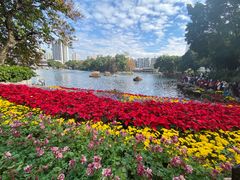 -荔湾湖公园