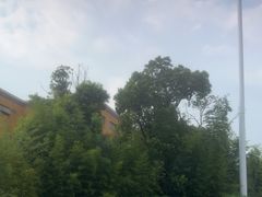 -上海玛雅海滩水公园