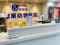 -宠颐生宠物医院·异宠猫科内科·诊疗中心宠巢店