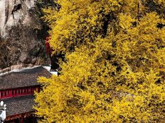 -大慈岩风景区