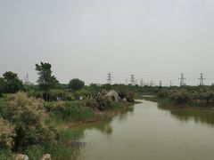 -大港湿地公园