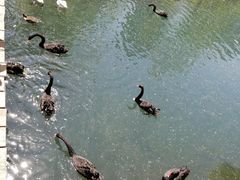 -长白岛森林公园