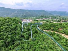 -铜川市金锁关石林